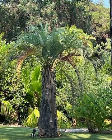 Villa Welcome Sainte-Maxime
